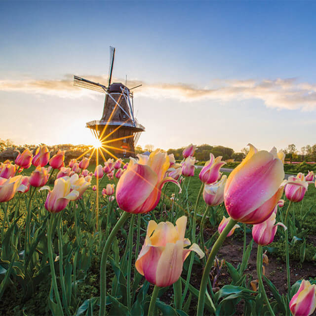 Windmill Island Gardens in Holland, Michigan