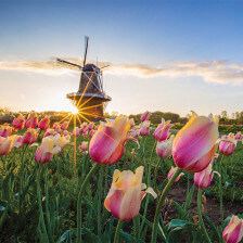 Windmill Island Gardens in Holland, Michigan