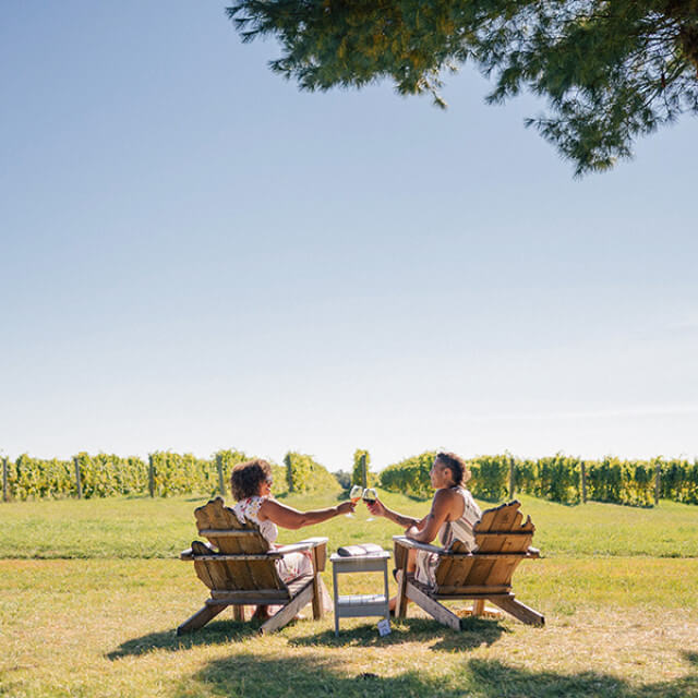 A vineyard toast on Michigan's Traverse Wine Coast