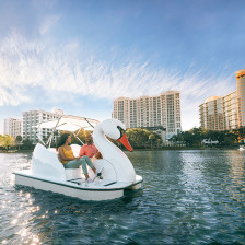 Pedaling a swan boat around Lake Eola in Orlando, Florida