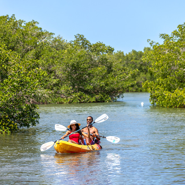 Kayaking through Bill Coy Preserve in Cape Haze, Florida