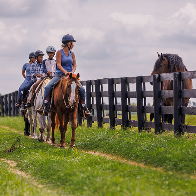 Taking a trail ride on a Lexington, Kentucky, horse farm