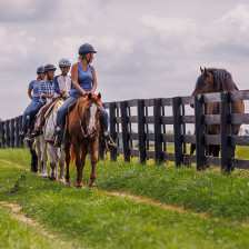 Taking a trail ride on a Lexington, Kentucky, horse farm