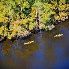 Kayaking through Sam Houston Jones State Park in Lake Charles, Louisiana