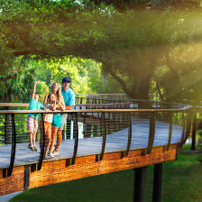 A family exploring a boardwalk trail at Bonnet Springs Park in Lakeland, Florida