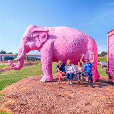 Visiting the Pink Elephant Antique Mall, a Route 66 roadside attraction in Livingston, Illinois