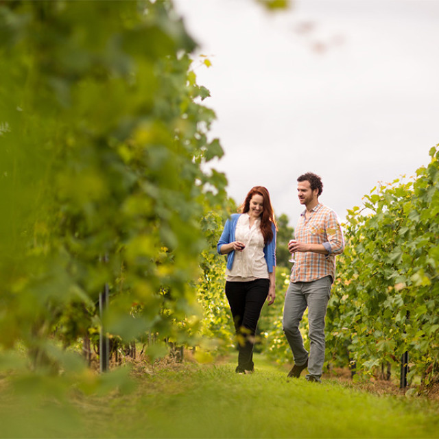 Sipping wine amid the vines of Blue Sky Vineyard in Makanda, Illinois