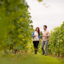 Sipping wine amid the vines of Blue Sky Vineyard in Makanda, Illinois