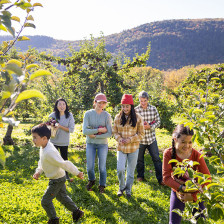 Family apple picking at Windy Hill Farm in Great Barrington, Massachusetts